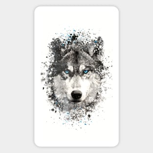 Wolf with blue eyes Magnet